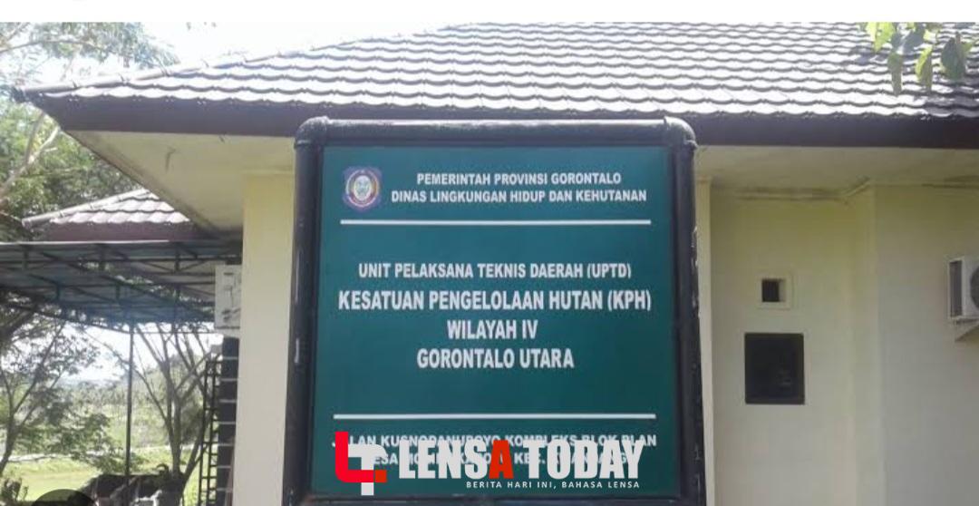 Diduga Lakukan Kolusi, Ini Penjelasan Kepala KPH Wilayah IV Gorut