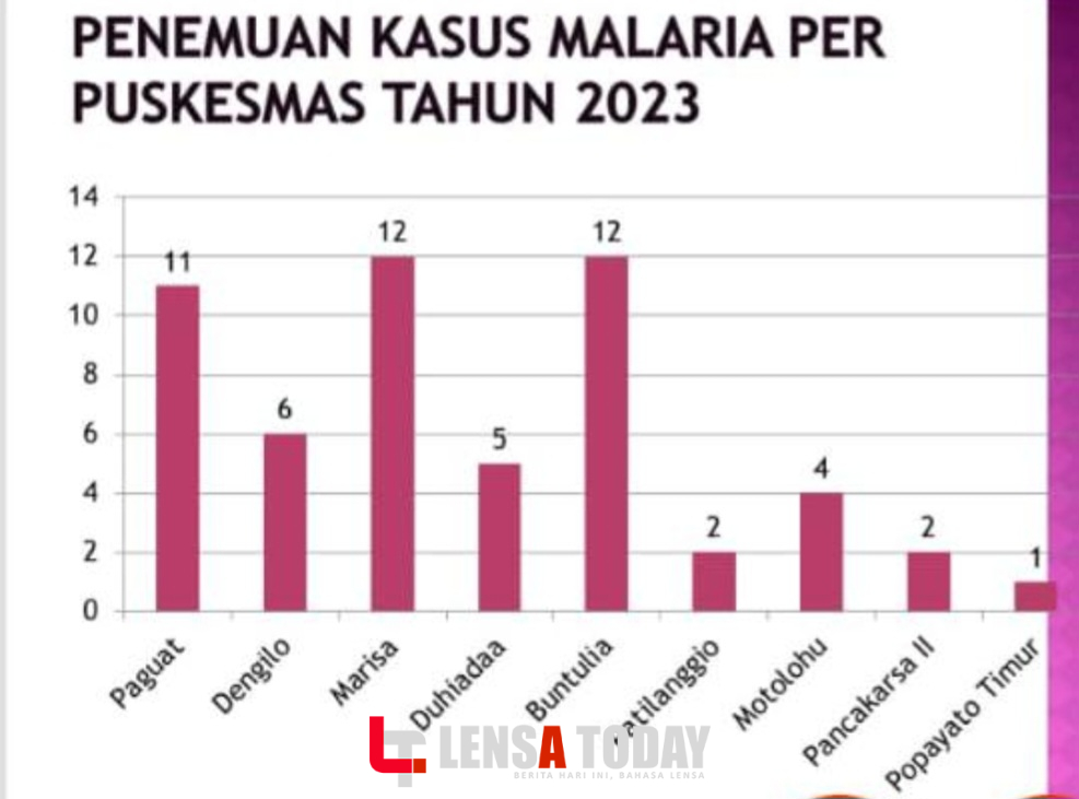 Tak Hanya Kerusakan Lingkungan, Kasus Malaria Dominasi Wilayah Lingkar Tambang Pohuwato