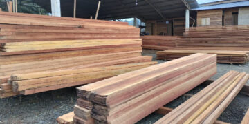 Aktivitas Ilegal Logging di Taluditi Bakal Pengaruhi Proyek Pekerjaan Irigasi