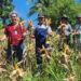 Kalapas Pohuwato Bersama Warga Binaan Melakukan Panen Jagung Di Kebun Milik Lapas