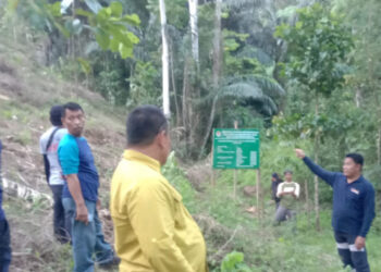 Kadis DLHK Provinsi Harap Peninjauan RHL di Patilanggio Bakal Merangsang Pertumbuhan Ekonomi Masyarakat