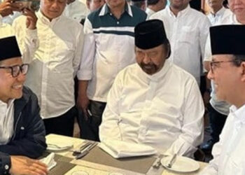 Terima Kasih Bang Surya