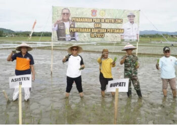 Mengerti Kebutuhan Warganya, Bupati Gorut Serahkan Bantuan Pertanian Kepada Para Petani
