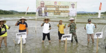 Mengerti Kebutuhan Warganya, Bupati Gorut Serahkan Bantuan Pertanian Kepada Para Petani