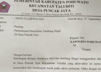 Dikuasai Mayoritas Luar Daerah, Pemdes Puncak Jaya Desak Polres Pohuwato Tertibkan PETI di Taluditi