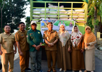 Meski Musim Kemarau Sebanyak 103,47 Ton Bantuan Benih Jagung Hibrida di Salurkan