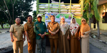 Meski Musim Kemarau Sebanyak 103,47 Ton Bantuan Benih Jagung Hibrida di Salurkan