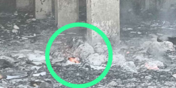 Hampir Sepekan, Kepulan Api Kecil Masi Terlihat di Dalam Kantor Bupati Pohuwato