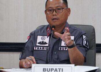 Peran Aktif Lembaga Eksekutif dan Legislatif Bisa Sukseskan Program Pembangunan dalam Daerah