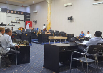 Rapat Pansus Hadirkan Kepala Inspektorat, Ini Penjelasan Dewi Nani Terkait Review