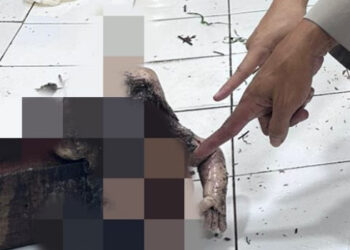 Heboh, Warga Desa Lubuk Sakat Temukan Bayi Sudah Tidak Bernyawa