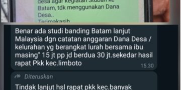 Study Kovergensi Program Bidang Kesehatan Penuh Drama, Pendamping Desa Sarankan Jangan Gunakan Dana Desa