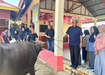 Roni Imran Apresiasi Salurkan 9 Ekor Hewan Qurban dari PT AGIT