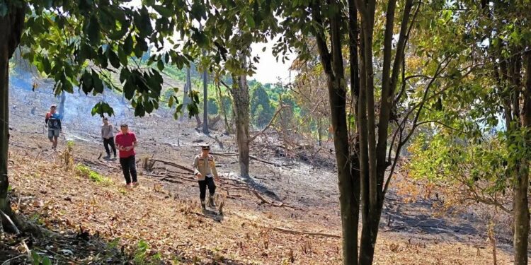 Warga Gorut Dominta Cegah Kebakaran Hutan dan Lahan