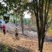 Warga Gorut Dominta Cegah Kebakaran Hutan dan Lahan