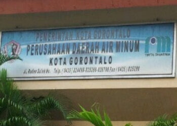 Diduga Mengalami Kenaikan Miliaran Rupiah Penggunaan Bahan Kimia, Ini Penjelasan Direktur Lucky Paudi