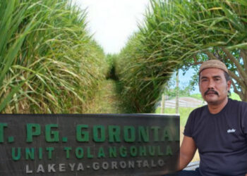 APTRI Desak Pemerintah Bertindak Tegas, PT. PG Gorontalo Dinilai Ingkar Terhadap Surat Edaran Kementan