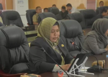 6 Rekomendasi Fraksi Hanura-PKS, Dorong APBD 2025 Lebih Tepat Sasaran