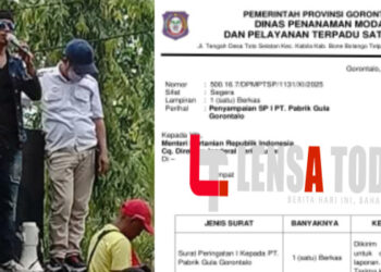 PT Pabrik Gula Gorontalo Disorot Keras, Taufik Buhungo : Polda & Kejaksaan Diminta Usut Terkait Dugaan Benih Tebu Belum Bersertifikat