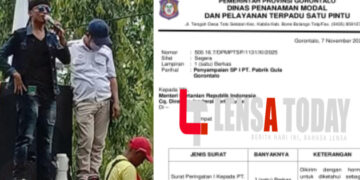 PT Pabrik Gula Gorontalo Disorot Keras, Taufik Buhungo : Polda & Kejaksaan Diminta Usut Terkait Dugaan Benih Tebu Belum Bersertifikat