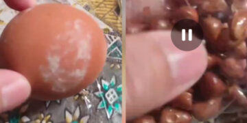 Orang Tua Keluhkan Menu MBG di Kabupaten Boalemo, Soroti Kebersihan dan Sensitivitas Saat Puasa