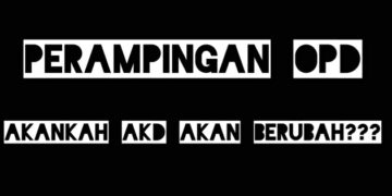 Ketika OPD Dirampingkan, Yakinlah AKD Akan Berubah : Efisiensi atau Sekadar Ganti Peta Kekuasaan?