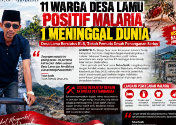 11 Warga Desa Lamu Positif Malaria, 1 Meninggal Dunia